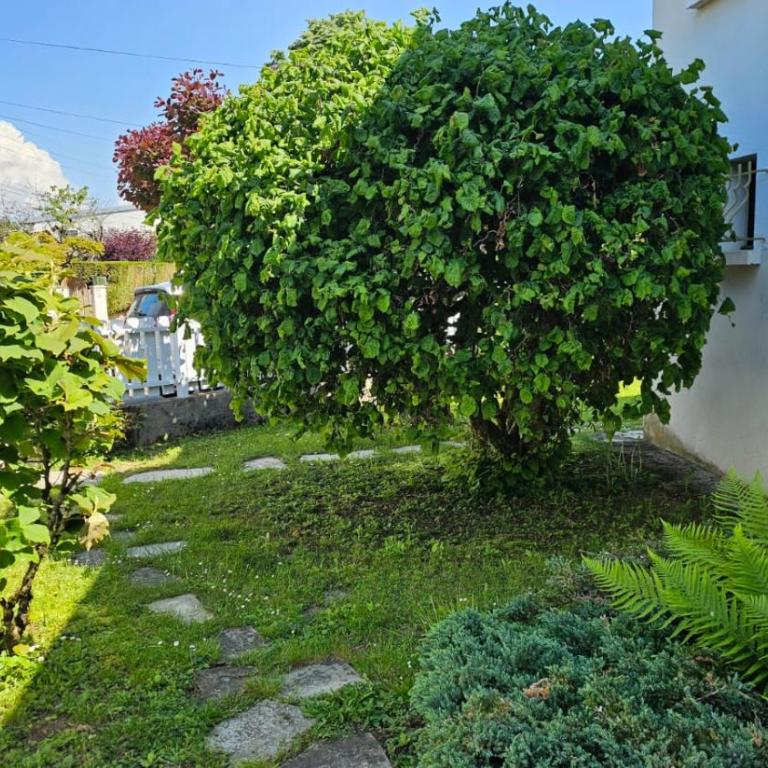 Villa La Moraine - Maison 2 Chambres - 32