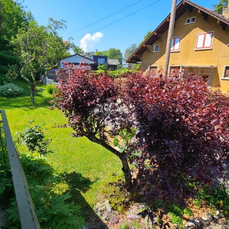 Villa La Moraine - Maison 2 Chambres - 38