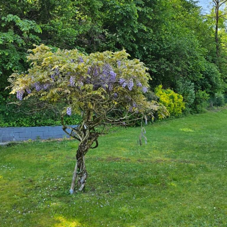 Villa La Moraine - Maison 2 Chambres - 43
