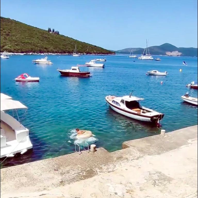 Lazarus Bigova apartments - Apartman sa 2 Spavaće Sobe - 16