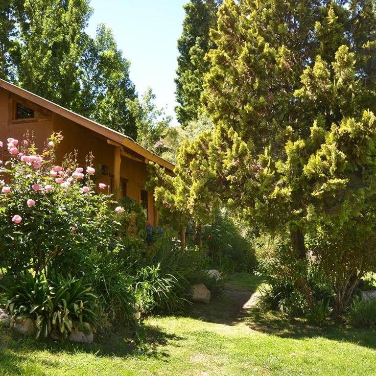 CASAS AMANCAY - Alcohuaz - Casa Unifamiliar de 2 dormitorios - 6