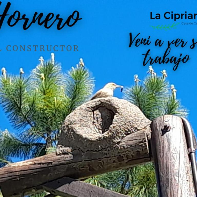 La Cipriana - Casa de 2 dormitorios - 74