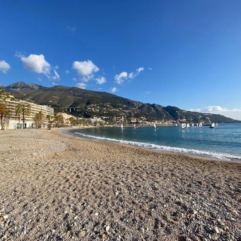 Joli 2 pièces vue jardin 50m plage Parking Clim - Appartement 1 Chambre - 3