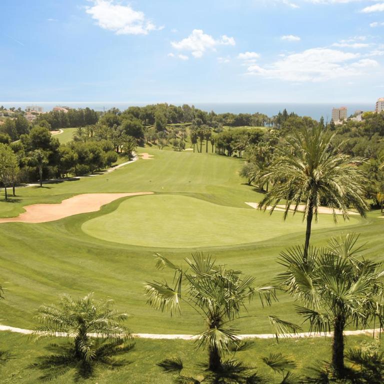 Mediterra 433 - Appartement - 10
