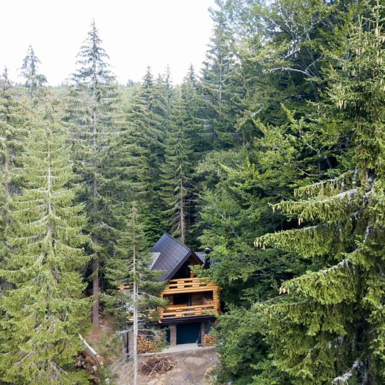 Casa Montana - Two-Bedroom Chalet - 51