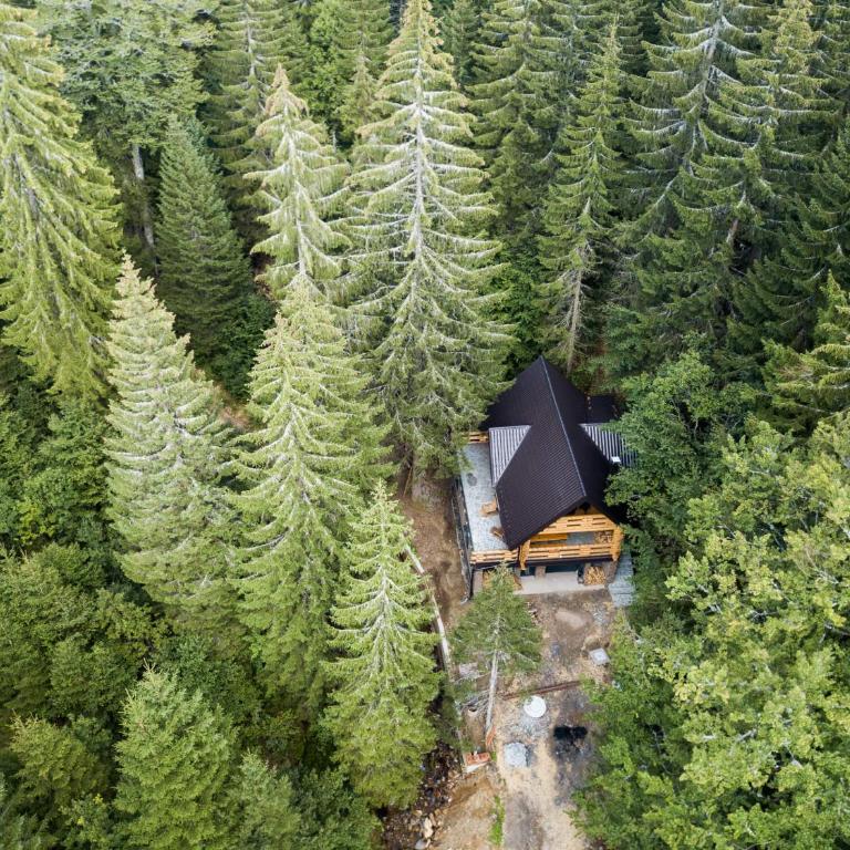 Casa Montana - Two-Bedroom Chalet - 46
