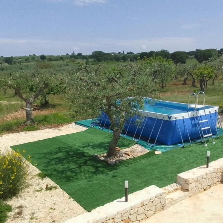 Trullo dell' Edera con piscina privata - Appartamento con 1 Camera da Letto - 36