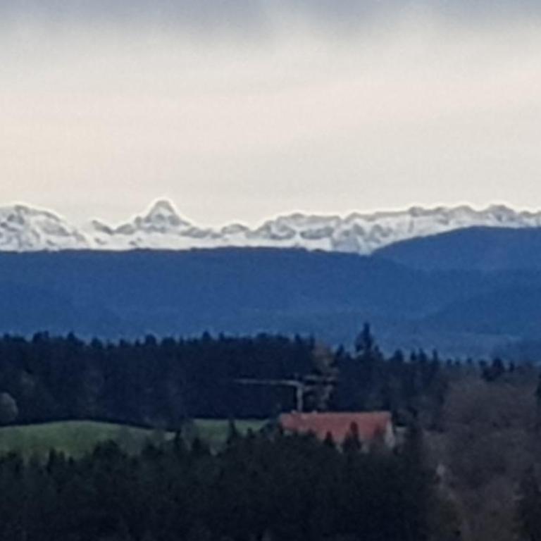 Alpenblick - Three-Bedroom Apartment - 16