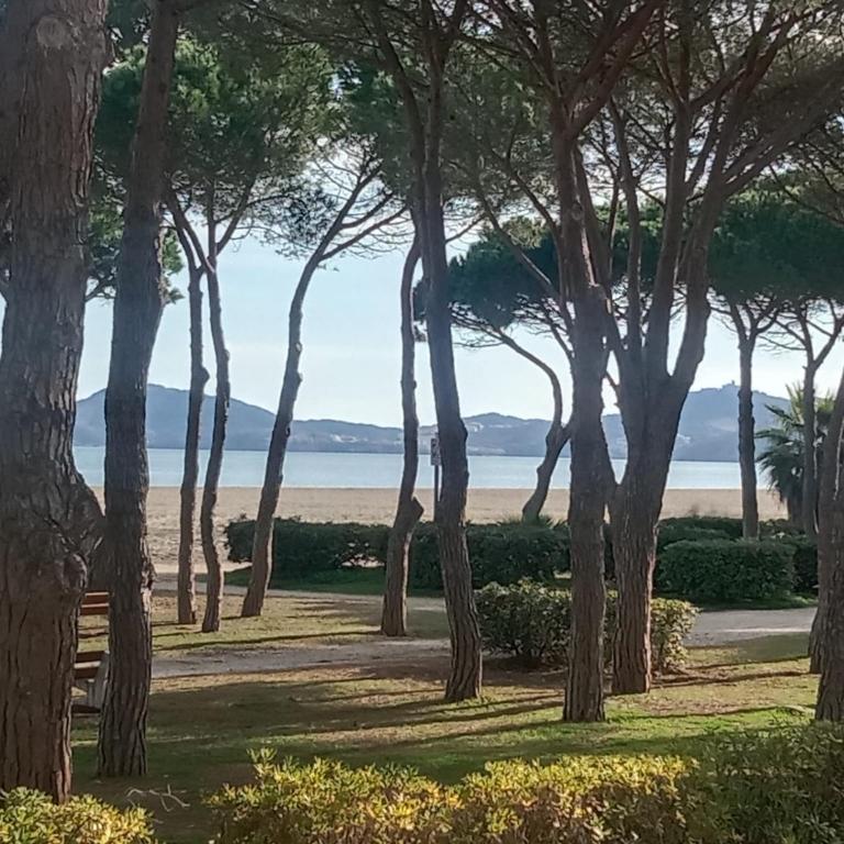 DIRECT PLAGE - Appartement - Vue sur Mer - 2