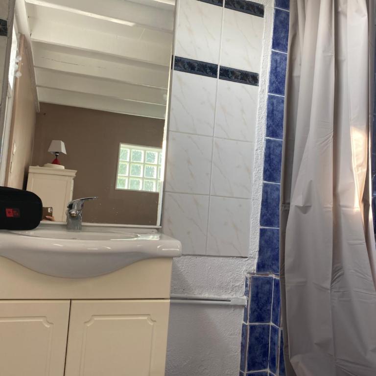 Studio mezzanine au calme - One-Bedroom Apartment - 5