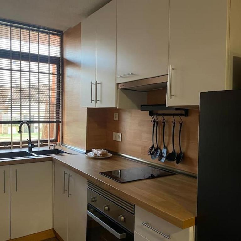 Nogalera Soul, City Center Apartment BY NAMASTE ELITE - Apartamento de 1 dormitorio - 5