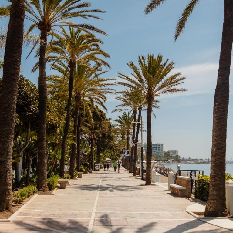 Vacation home in the best location, with terrace and pool in Marbella Center - Apartamento de 2 dormitorios - 32