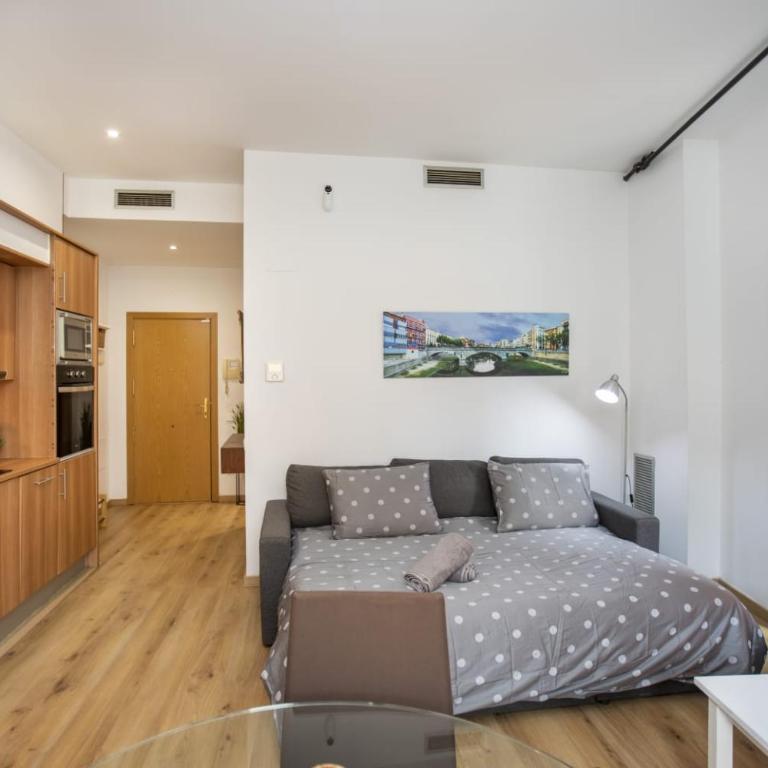 Apartament al cor del barri vell de Girona - Apartamento de 1 dormitorio - 4