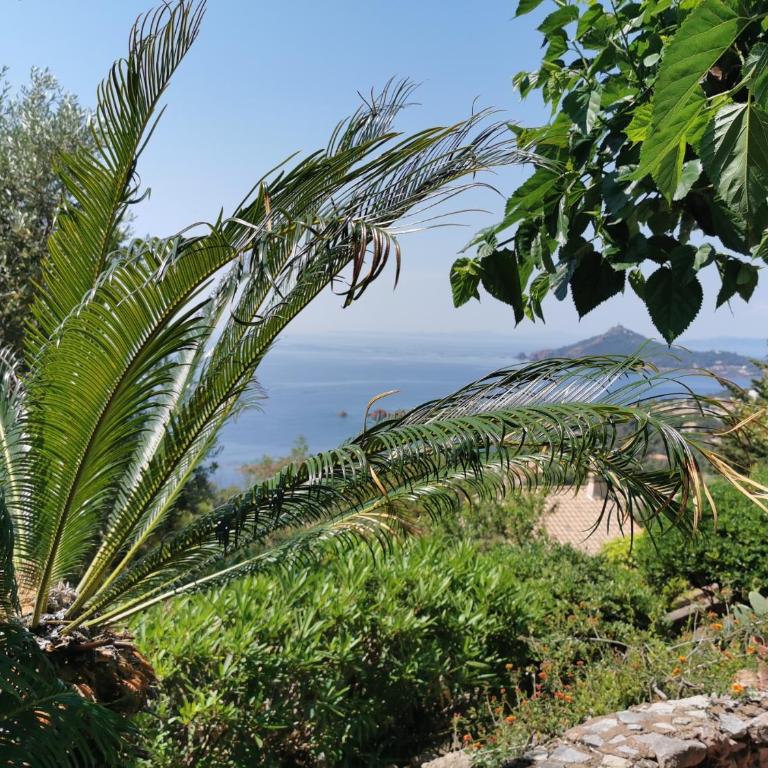 Villa Rubis-vue mer à couper le souflle - Villa mit 3 Schlafzimmern - 25