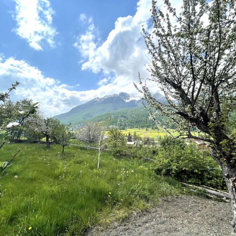 Appartement Montagne : 2 Pces, 4 Couchages, Jardin, Animaux OK, Navette et Commerce Proches - Maison 1 Chambre - 7