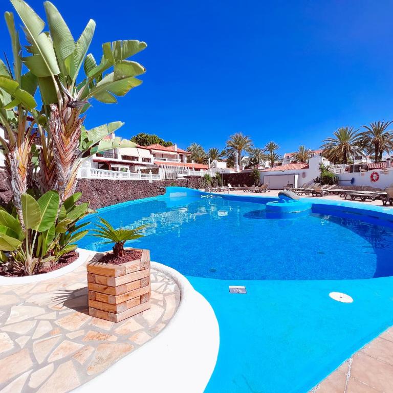 Studio In Paraiso Royal, Playa De Las Americas - Estudio - 43