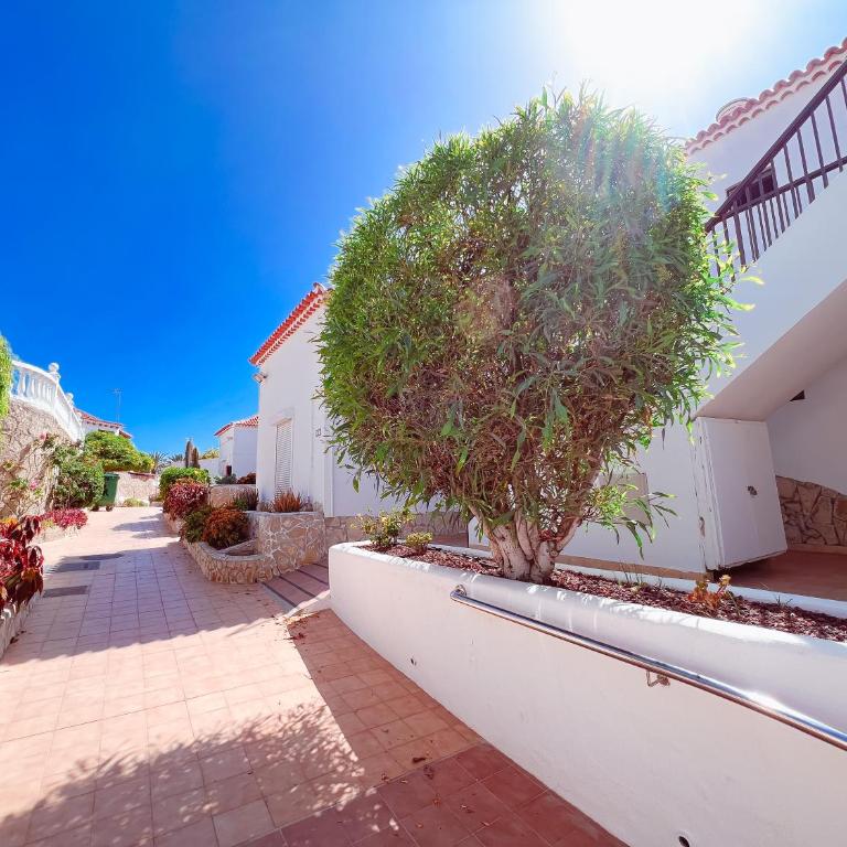 Studio In Paraiso Royal, Playa De Las Americas - Estudio - 44