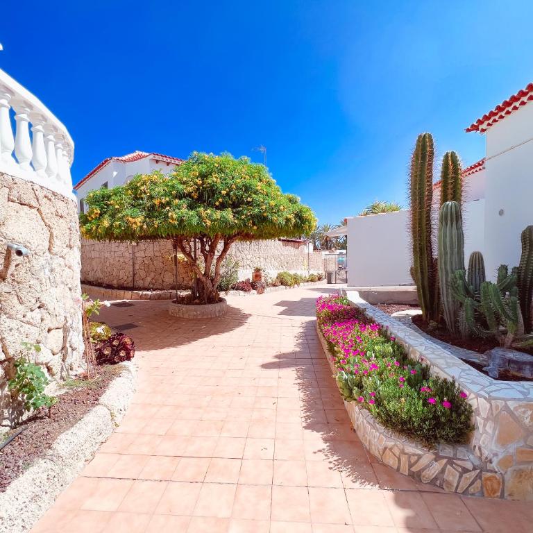 Studio In Paraiso Royal, Playa De Las Americas - Estudio - 45