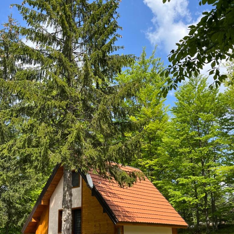 Planinska kuća Sokolarica - Kuća sa 2 Spavaće Sobe - 7