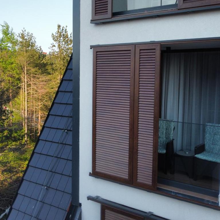 Divčibare_sunrise - Apartman sa 1 Spavaćom Sobom - 14