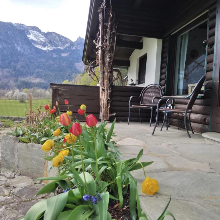 Chalet Scheffsnoth - One-Bedroom Apartment - 3