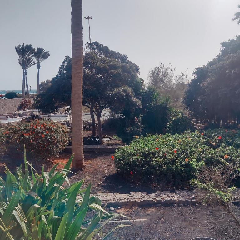 Sunny Bungalow - Bungalow with Sea View - 15