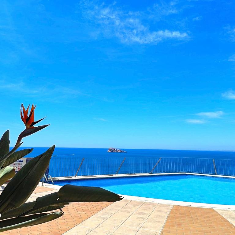 Newly renovated Two Bedrooms Apartment in Villa Marina - Two-Bedroom Apartment - 9