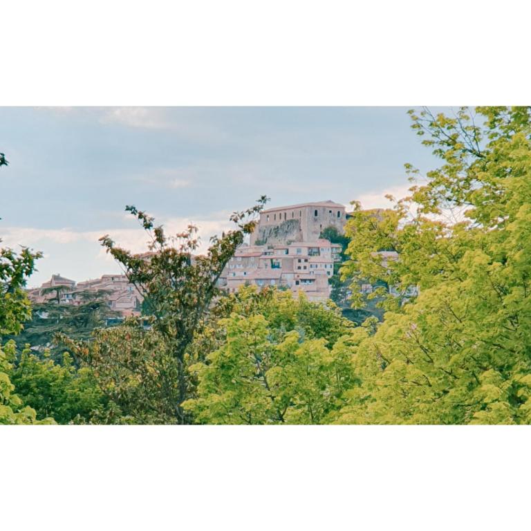 Parc paradis - Appartement - 14