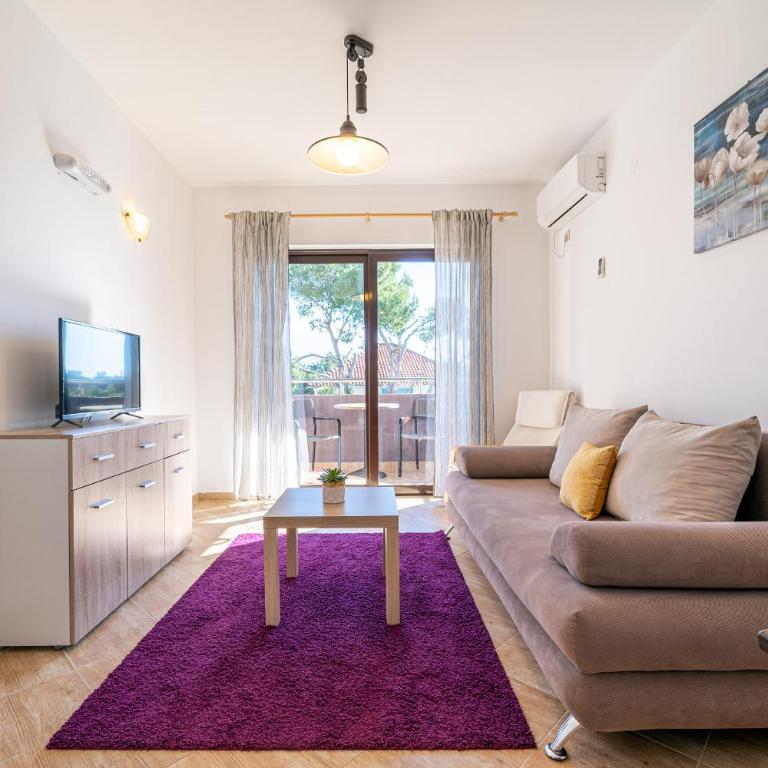 Apartments Svetlana - Apartman sa Pogledom na Planinu - 11