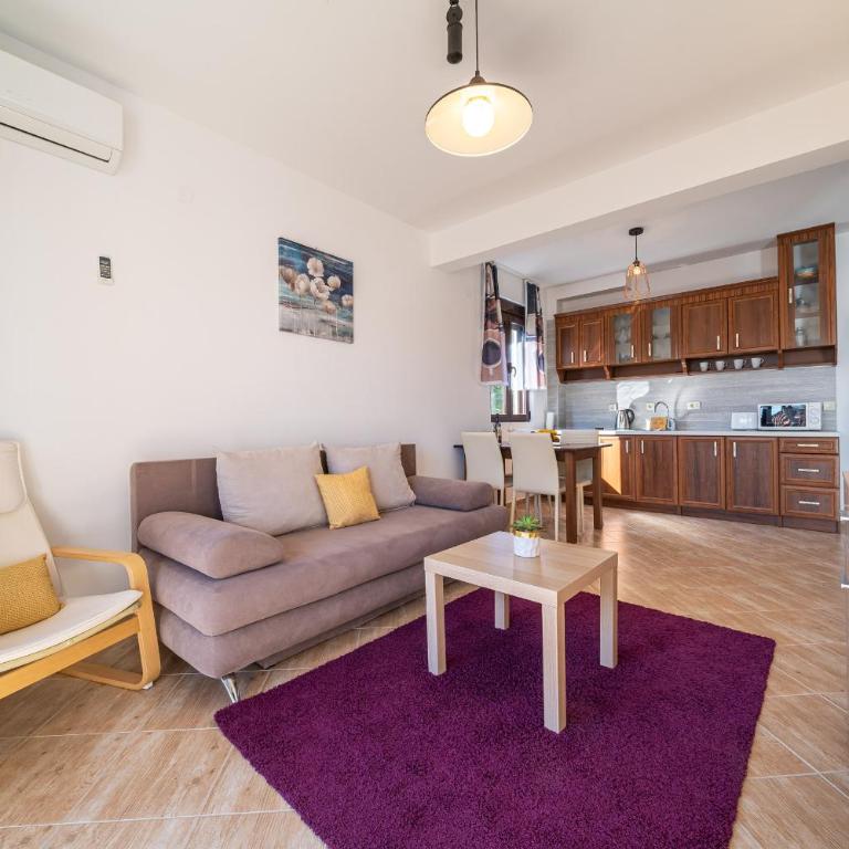 Apartments Svetlana - Apartman sa Pogledom na Planinu - 8