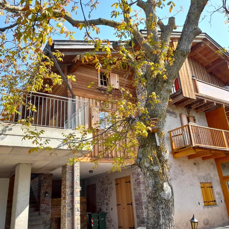 Chalet Dolomiti Trentino - Appartamento con 1 Camera da Letto - 15