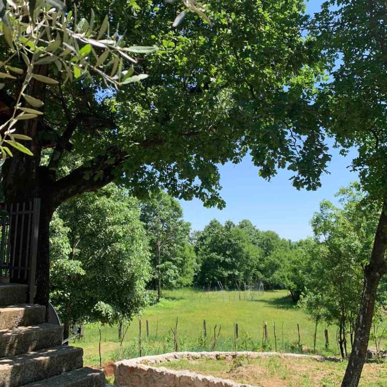 Bandici house - Two-Bedroom Apartment - 15