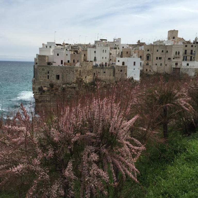 La Casetta 19 - Casa Vacanze - 58