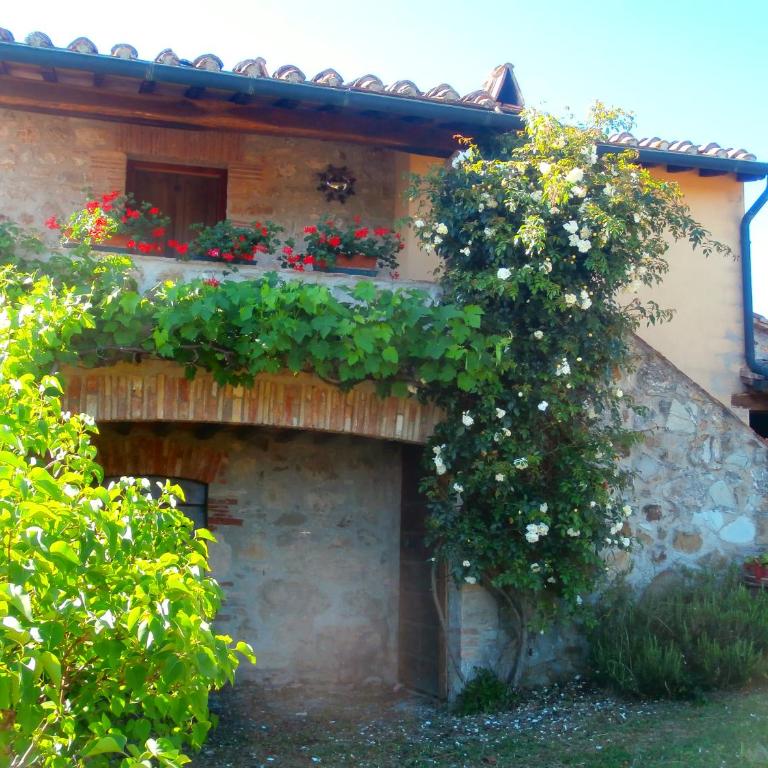 Casa Bacci - One-Bedroom Apartment - 15