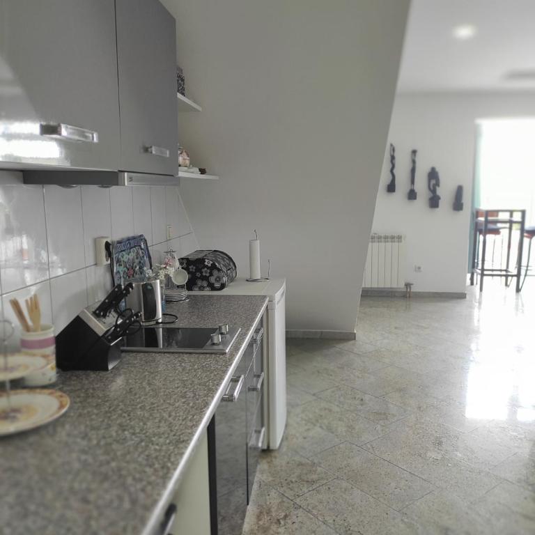 Terrace - Apartman sa 1 Spavaćom Sobom - 4