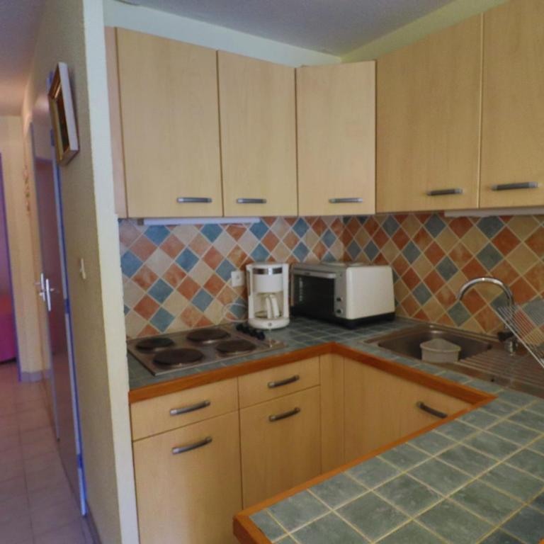 Spacieux T2 cabine, terrasse, animaux admis - FR-1-472A-161 - Appartement (6 Adultes) - 12