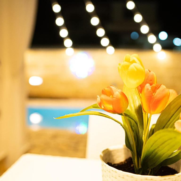 Villa Teresa Elegant & Relaxing Holiday Home with private hydro spa pool - Vacation Home - 46