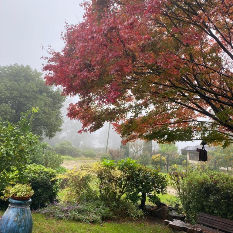 MEIN HAUS - Three-Bedroom House - 2