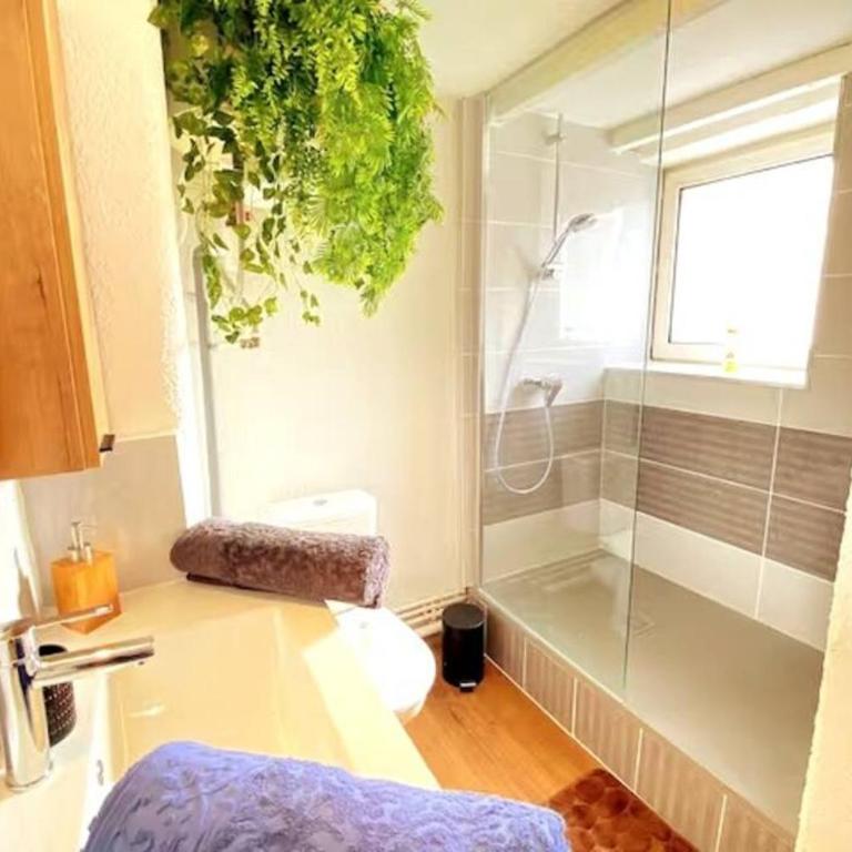 Cocon à Deux Pas des Arènes - Charme & Confort - One-Bedroom Apartment - 4