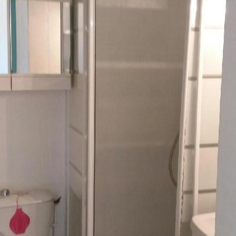 Studio équipé près des Thermes avec parking et animaux admis - Studio - 7