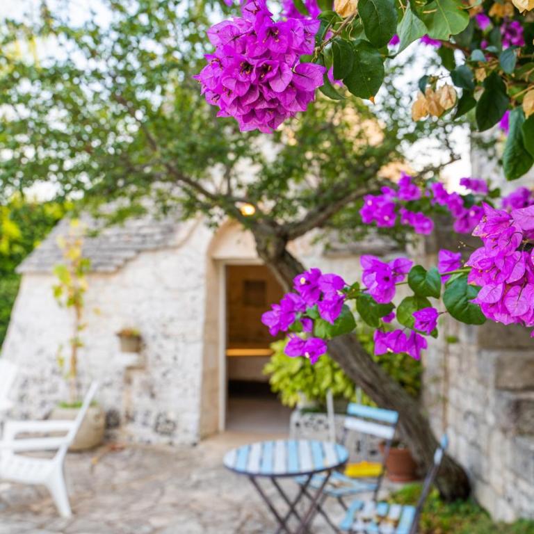 Trulli Francesca Ciclovia - Junior Suite con Bagno Privato - 6