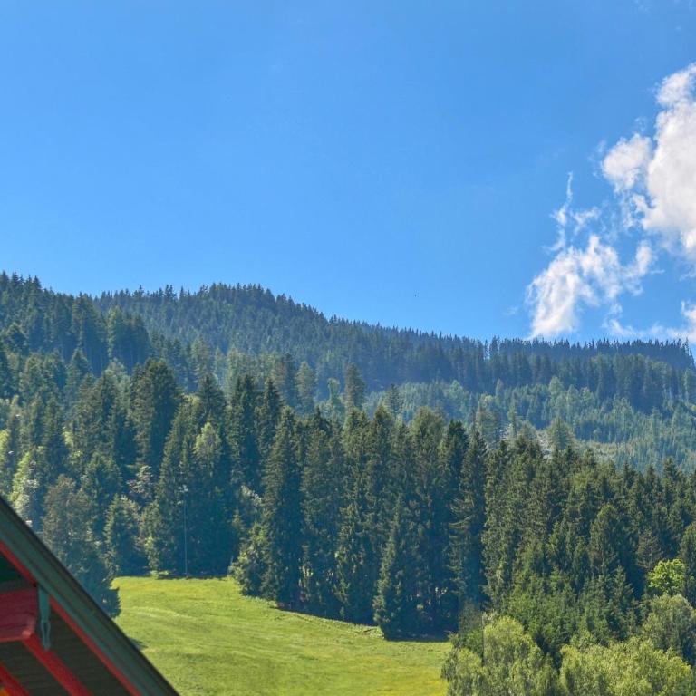 Apartment Antonia - by Alpen Apartments - Apartment mit Blick auf die Berge - 17