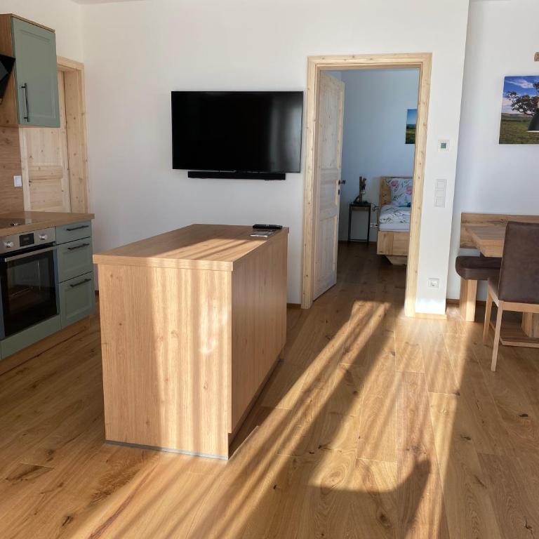 Berglisl - direkt an der Schipiste! Neue Ferienwohnung mit Sauna - Apartment - Erdgeschoss - 32