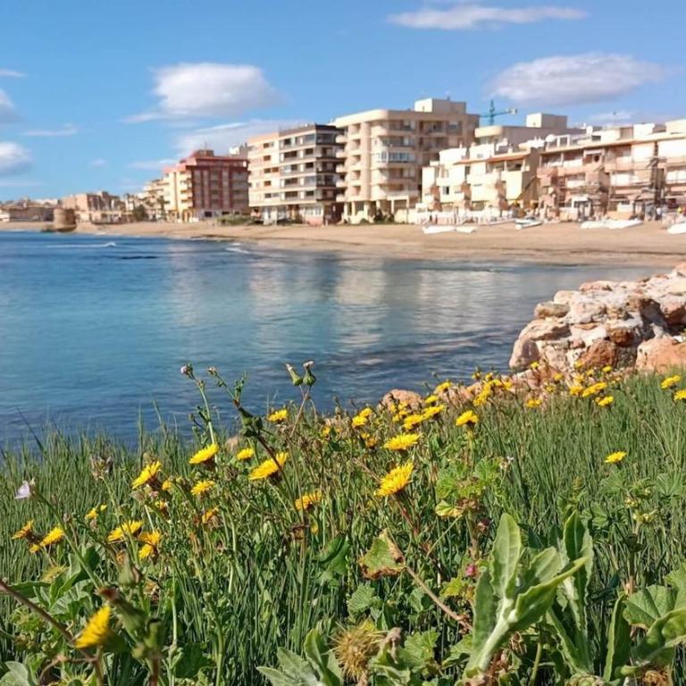 Apartment Infinity Beach, edf Pinada Beach, La Mata, Torrevieja - Apartamento de 2 dormitorios - 47