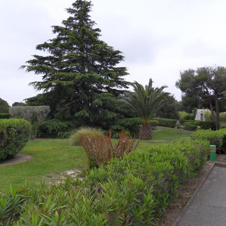 Studio Le Pénéqué des Anges - Apartment mit Meerblick - 36