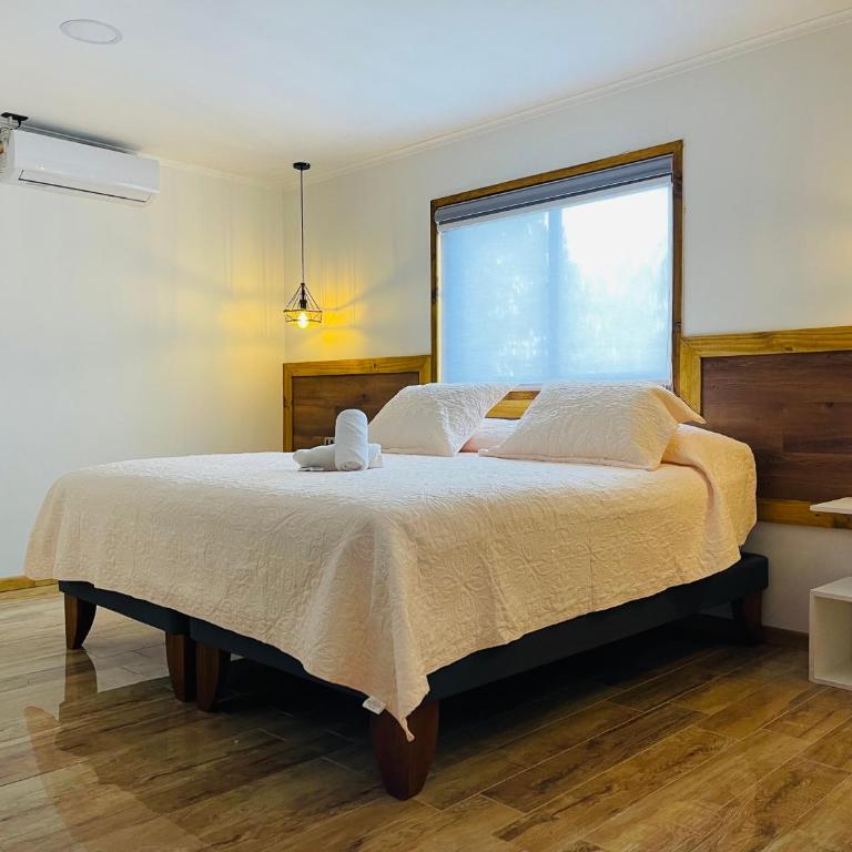 RESIDENCIAL VICTORIA SAID DELUXE - Suite - 14