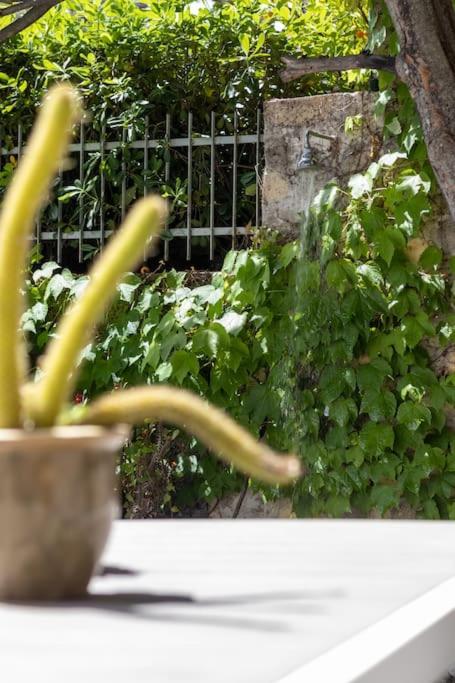 Il Giardino tra Cielo e Mare - mytouristhome - Apartment mit Meerblick - 14