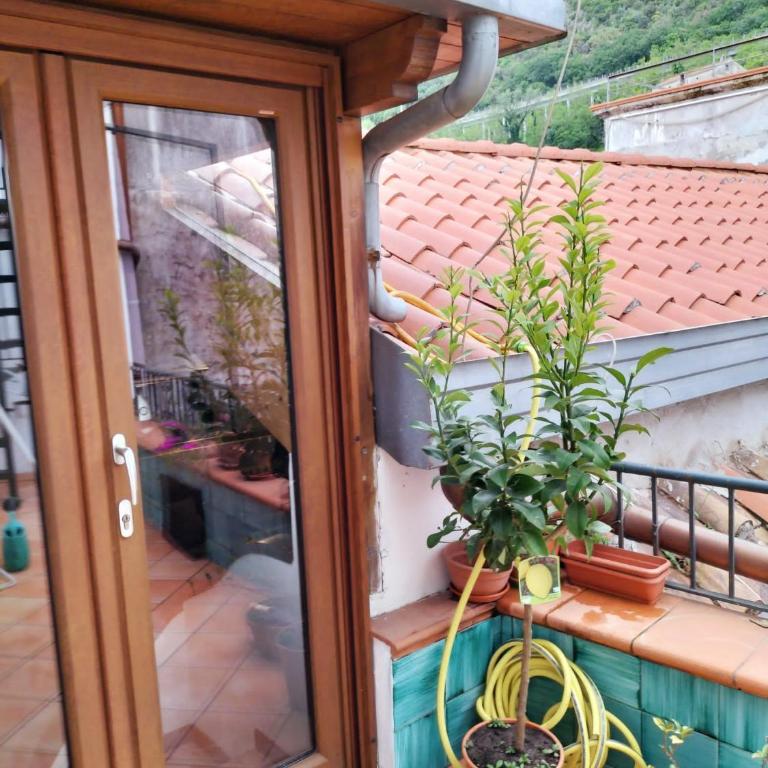 NEL CUORE DI VIETRI CASA VACANZE AMALFI COAST - Casa con 1 Camera da Letto - 32