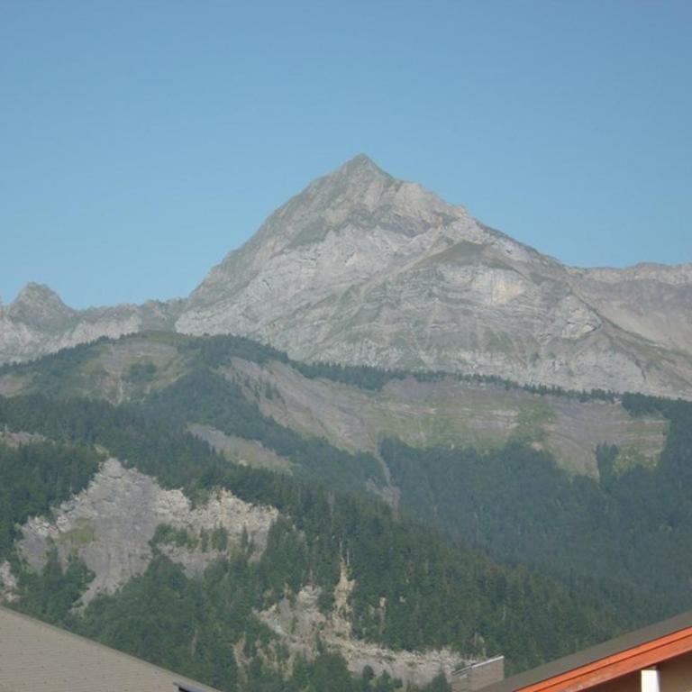 Chalet 8 pers. au pied des pistes avec parking à 50m des remontées mécaniques - Chalet 3 Chambres - 16