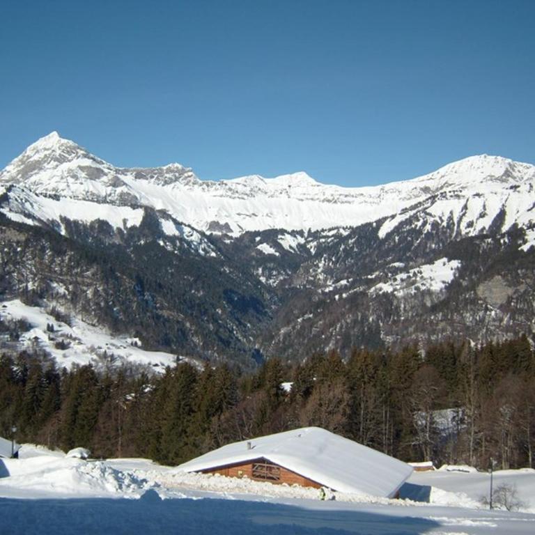 Studio cosy pour 4 aux pieds des pistes, animaux admis, parking - Studio - 3